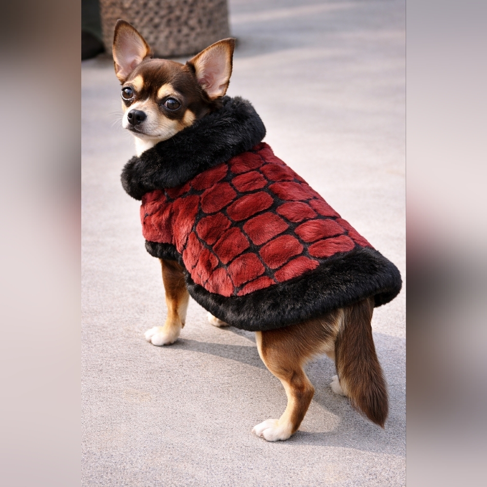 Luxurious Burgundy and Black Dog Coat